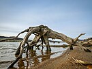 M�lo vody v lipensk� n�dr�i odhalilo i torza b�val�ch strom�, budov �i zbytky...