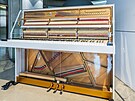 Expozice historie v�roby klav�r� Petrof v Informa�n�m centru v Hradci Kr�lov�.