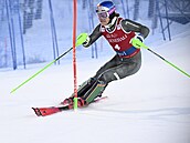 Brazilský reprezentant Lucas Pinheiro Braathen na trati slalomu v Levi.