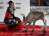 Mikaela Shiffrinová po dalím triumfu ve slalomu v Levi obdrela sobí mlád. U...