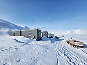 Terénní pracovit Nostoc na picberkách