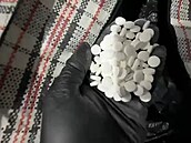 NCOZ spolen se zahraniními partnery zadrela a obvinila estnáct lidí v...