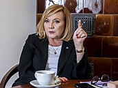 Kandidátka na finance. Pokud bude Alena Schillerová ministryní financí ve vlád...