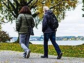 Chze léí. Studie naznauje, e dovede potlait propuknutí Alzheimerovy...