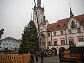 Olomoucké nám�stí bude letos zdobit 52letá jedle.