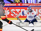 Hokejisté Komety Brno v utkání osmifinále Ligy mistr proti védskému Lulea....