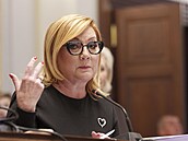 Schze snmovního rozpotového výboru. Na snímku Alena Schillerová (ANO). (19....