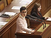 Jednání Poslanecké snmovny. Na snímku Olga Richterová (Piráti). (11. listopadu...