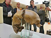 Údajnou ást lebky Jana iky, historiky oznaovanou té jako áslavská kalva,...