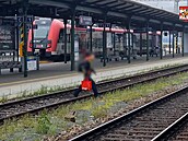 Jihomoravtí policisté udlili pes 50 pokut kvli pecházení kolejí