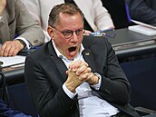 Spolupedseda Alternativy pro Nmecko (AfD) Tino Chrupalla (6. listopadu 2025)