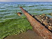 Nízká hladina odhalila výpusti smující do Lipna. Vdci budou provovat,...