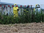 V Lankroun zaala likvidace velkochovu drbee. (13. listopadu 2025)