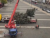 Na Mírovském námstí v Ústí nad Labem spadl pi instalaci vánoní strom. (12....