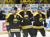 Litvínov, 16. 11. 2025, Verva Litvínov - Dynamo Pardubice, hokejová extraliga....