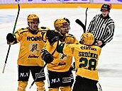 Vsetín�tí hokejisté slaví gól.