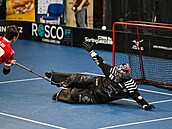 Florbalové mantinely ROSCO