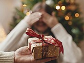 Inspirace na vánoní dárky pro celou rodinu