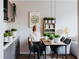 Zeitraum Rac�awicka v polsk�m Krakov�