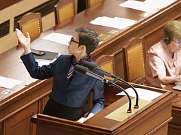 Ve Snmovn pokrauje druhá schze, bhem ní by poslanci mli potvrdit...