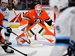 �eský branká� Luká� Dostál z Anaheimu bedliv� sleduje puk v utkání NHL proti...