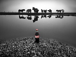 P�ed 110 lety do�lo k patentu na láhev Coca-Coly jak ji známe dnes.