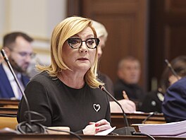 Schze snmovního rozpotového výboru. Na snímku Alena Schillerová (ANO). (19....