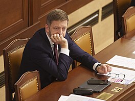 Jednání Poslanecké sn�movny. Na snímku Vít Raku�an (Starostové). (11. listopadu...