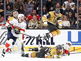 Obránce Golden Knights Brayden McNabb peskakuje spoluhráe Tomáe Hertla.