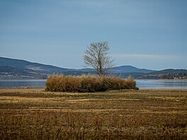 Sucho odhalilo �adu míst na lipenské p�ehrad�. Na snímku je zátoka v Kyselov�....