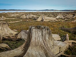 Sucho odhalilo �adu míst na lipenské p�ehrad�. Na snímku je Rakouská zátoka u...