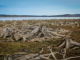 Sucho odhalilo �adu míst na lipenské p�ehrad�. Na snímku je Rakouská zátoka u...