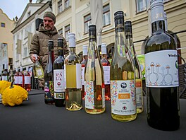 Otevírání svatomartinským vín a p�íjezd sv. Martina na bílém koni v �eském...