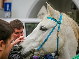 Otevírání svatomartinským vín a p�íjezd sv. Martina na bílém koni v �eském...