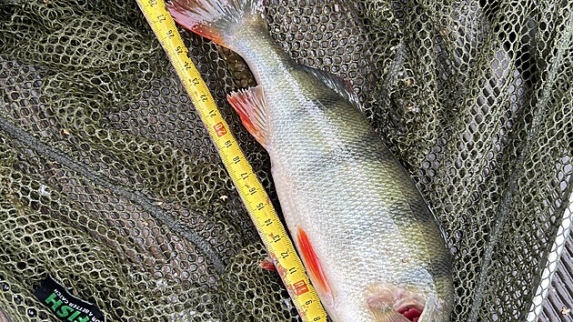 Ka�d� kousek nemus� b�t v�dy ten rekordn�, ale p�esto pot��.