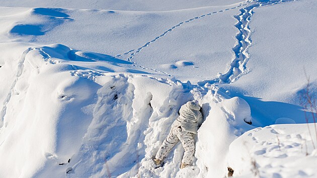 V�cvik kanadsk� arm�dy v Arktid� (27. �nora 2025)