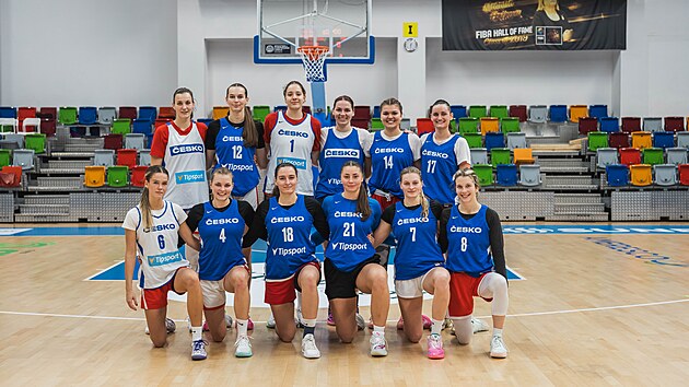 Basketbolcu Nétková İsveç'te oynamayı ve şut atmayı anlatıyor