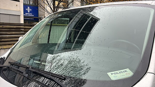 Detektivov� NCOZ zasahuj� v budov�ch �SD na Ka�erov�. (11. listopadu 2025)