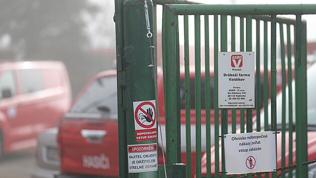 V arelu spolenosti Agro-V ve Valdkov na Tebsku zaala 12. listopadu 2025 likvidace dvaceti tisc kachen, souvisejc s nkazou pta chipkou.