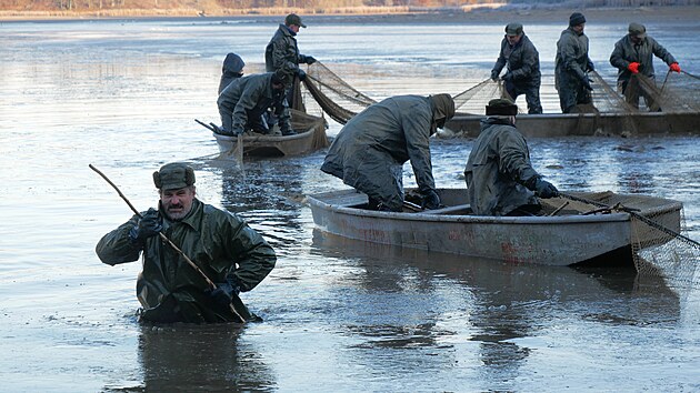A�koliv jde o v�lov Velk�ho D��ka, ryby se lovily a� z mnohem men��ho rybn�ka Nov�, kter� je v soustav� hned pod D��kem, pr�v� do n�j se osazenstvo n�dr�e v�dy �p�epou�t�. (19. 11.2025)