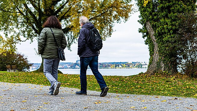 Chze léí. Studie naznauje, e dovede potlait propuknutí Alzheimerovy...