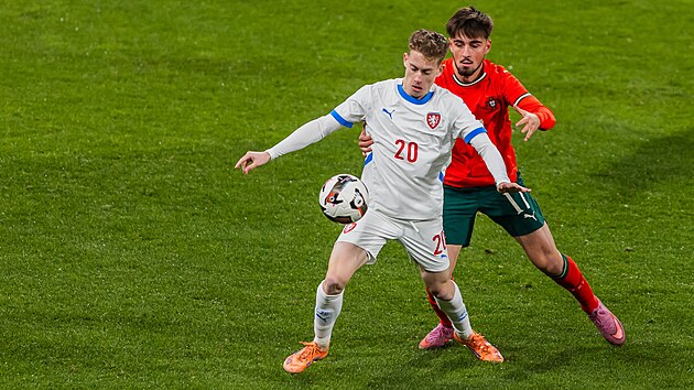 David Planka se sna�� zkrotit sk�kav� m��.