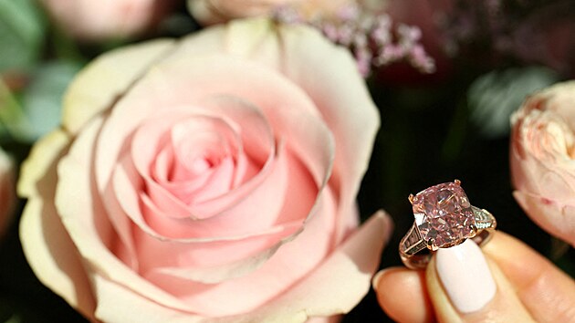 �V�t�ina r��ov�ch diamant� m� sekund�rn� odst�ny,� poznamenali odborn�ci na �perky z auk�n� s�n�. Barva tohoto diamantu je podle nich pozoruhodn� �ist� a intenzivn�, co� je rarita i mezi drahokamy vysok� hodnoty. (12. listopadu 2025)