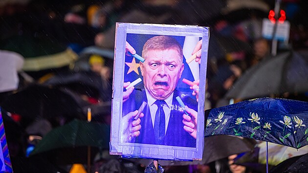 Slov�ci ve v�ro�� sametov� revoluce ze 17. listopadu 1989 protestuj� proti vl�d� premi�ra Roberta Fica. Sn�mek poch�z� z Bratislavy. (17. listopadu 2025)