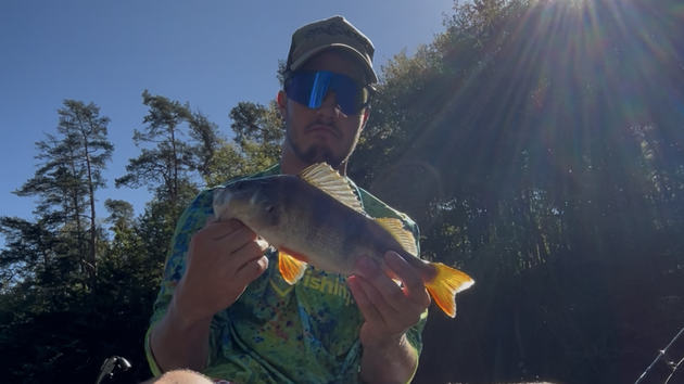 36centimetrový okoun Frantika onky