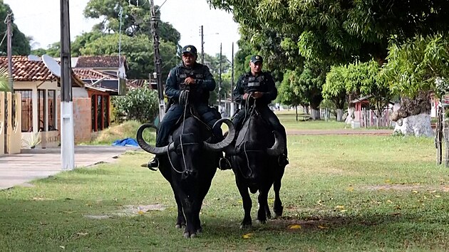 Policie na amazonském ostrov Marajó hlídkuje na buvolech