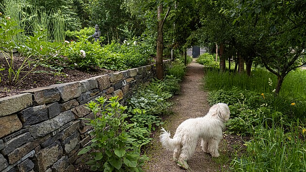 atelier Flera, zahrada, Tom� Klus, Tamara Klusov�