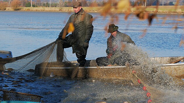 Vodn� plochu v Z�visti nedaleko Velk�ho Mezi���� ob�vaj� hlavn� kap�i lysci, d�le tak� l�ni, amu�i a drav� ryby.
