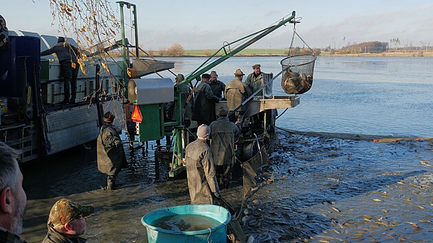 Vodn� plochu v Z�visti nedaleko Velk�ho Mezi���� ob�vaj� hlavn� kap�i lysci, d�le tak� l�ni, amu�i a drav� ryby.