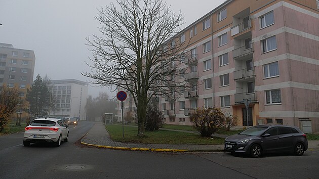 M�stsk� bytov� fond ve ����e tvo�� v podstat� jen byty v domech s pe�ovatelskou slu�bou (na sn�mku) �i takzvan� svobod�rny.